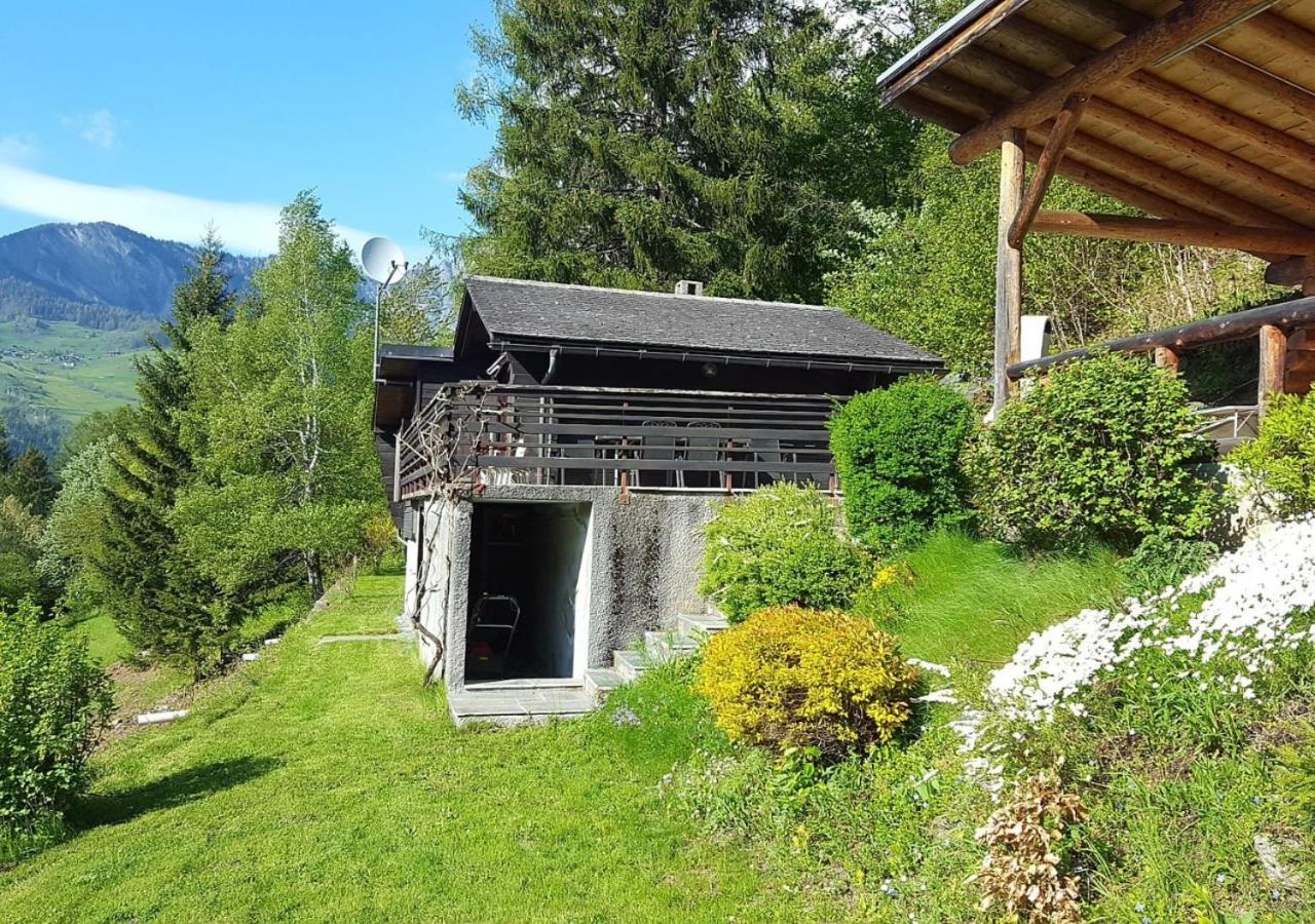 Sembrancher Charmant Chalet Dans La Montagne Proche De Verbier المظهر الخارجي الصورة